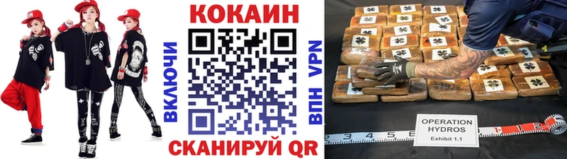 где купить наркоту  Кашин  COCAIN FishScale 