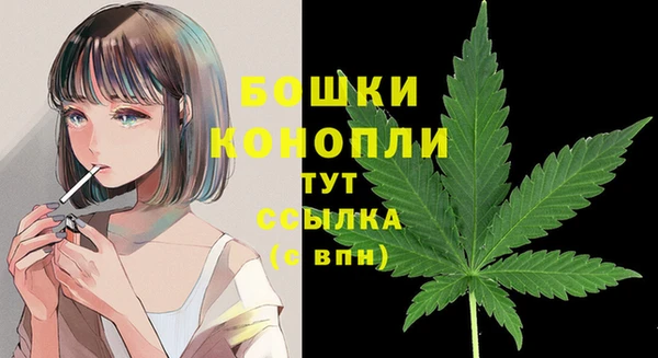 винт Аша